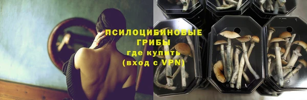 крисы Семикаракорск
