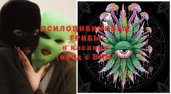 крисы Семикаракорск