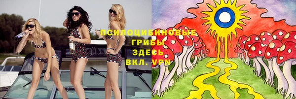 МДПВ Абинск