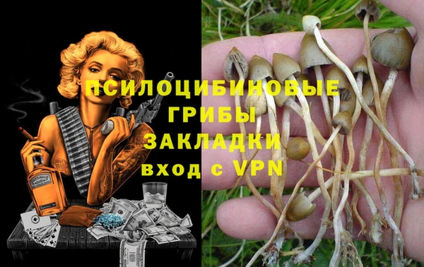 МДПВ Абинск