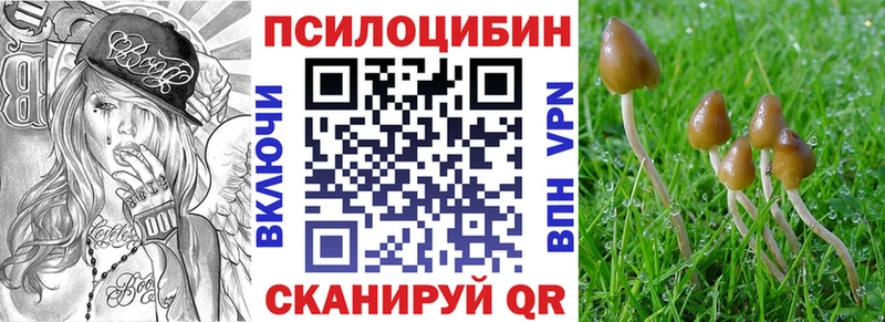 Псилоцибиновые грибы Cubensis  дарнет шоп  Галич 